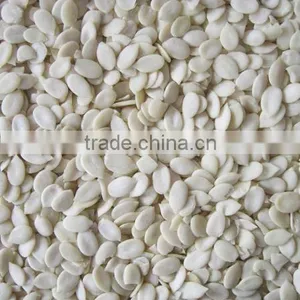 Hulled WaterMelon Seeds thumbnail-4