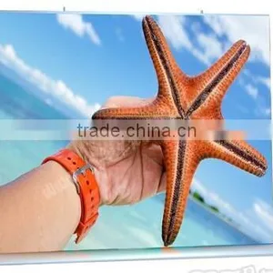 Digital Printing Mini Hand Roll up Banner Horizont thumbnail-2
