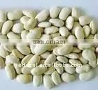 45-65 Yunnan Large White Kidney Bean thumbnail-1