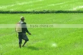 VIETNAM LONG WHITE RICE 5% BROKEN EXPORT TO AFRICA_jenny@longwhiterice.com thumbnail-3