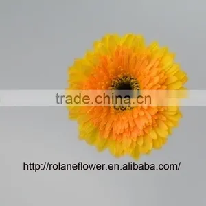 Cheap And Good High Quality Gerbera Flowers Yellow Color For Mother's Day - Champagne thumbnail-4