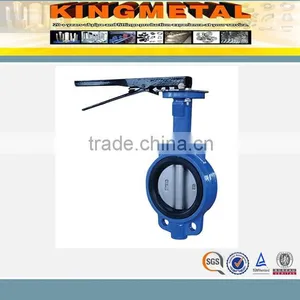 ASME B16.47 Class 150Lb~600Lb Cast Iron Wafer Butterfly Valve thumbnail-2