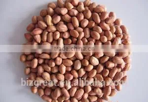 Supplying Raw Bulk Peanut Kernele Baisha Type for Sales thumbnail-1