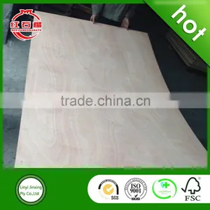 18mm High Quality Waterproof Plywood Price thumbnail-1