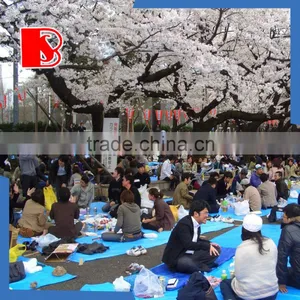 Waterproof PE Tarpaulin PE Plastic Eyelets Tarpaulin PE Sheet Tarpaulin Cover Polyethylene Woven thumbnail-3