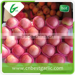 Fresh Sweet Big Fuji Apple From Chinese Exporter thumbnail-6
