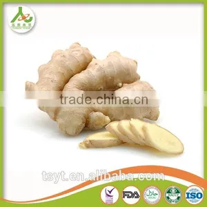 2016 Season Mature Old Ginger thumbnail-2