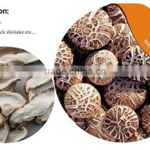 Organic Dried Shiitake Mushroom Prices Wholesale Slicing thumbnail-1