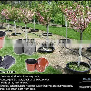 Decorative Pots thumbnail-3