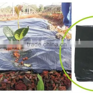 Plastic Film LY-H1001 thumbnail-1