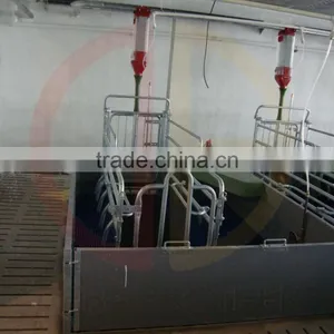 Pig Farrowing Crate Pig Equipment for Sale thumbnail-2