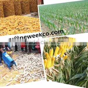 Neweek Home Simple Electric Corn Machine Mini Maize Thresher thumbnail-6