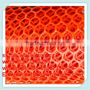 High Quality Plastic Flat Wire Mesh or Plastic Flat Netting for Breeding thumbnail-6