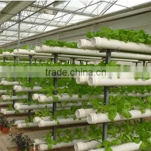 Large Multi-span Fiberglass Commercial Greenhouse,garden Greenhouse,flower Greenhouses thumbnail-1