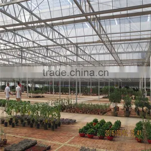 Selected Supplier Plastic Greenhouse for Sale thumbnail-1