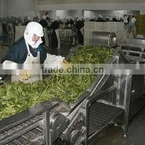 Vegetables Washing Processing Line Machine thumbnail-1