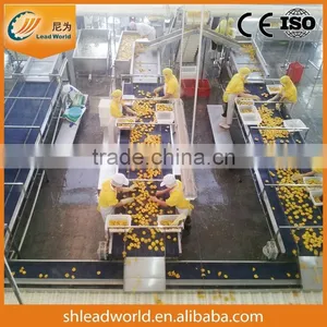 Glass Bottled Sweet Strawberry Production Line / Strawberry in Syrup Canning Machine thumbnail-2