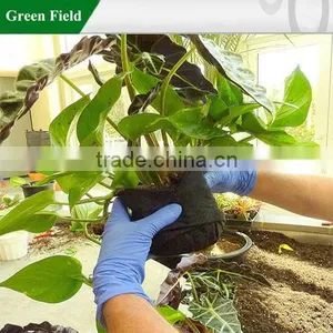 Root Wrapper thumbnail-1