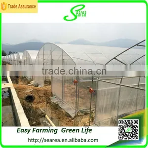 Large Greenhouses Big Greenhouse Manufacturer for Sale thumbnail-5