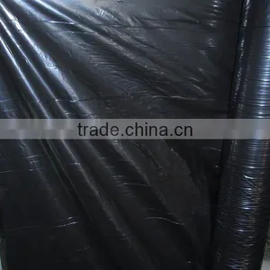 PE Waterproofing Film thumbnail-1