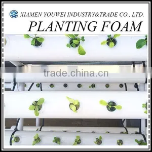 Polyurethane Floral Foam Block Planting Foam/Seeding Foam thumbnail-1