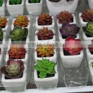 Hot Sell Artificial Plant Artificial Small Potted Succulent Plants Decor Mini Plants thumbnail-1