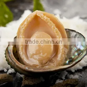 Frozen Seafood Exporter 100% Natural Frozen Abalone thumbnail-2