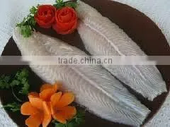 Pangasius Hypophthalmus thumbnail-2