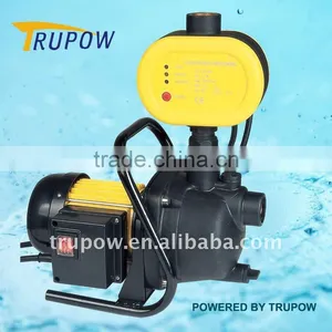 Garden Pump With Control Switch thumbnail-1