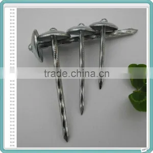 Umbrella Roofing Nails for South Africa thumbnail-5