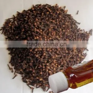 Clove Bud Oil thumbnail-1
