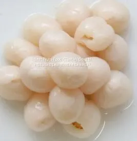 Lychee/Litchi/Lichee in Syrup With Aseptic Packaging 20KG /China thumbnail-1