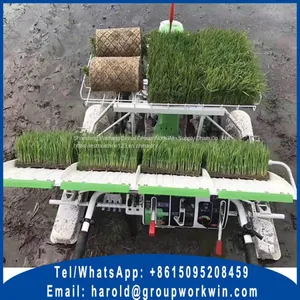 2ZF-4K Type 4 Rows Chinese Mechnical Rice Transplanter thumbnail-5