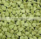 Hulled Buckwheat / Organic and Common thumbnail-1
