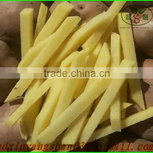 (HOT) 2015 Cang Shan Garlic /Cangshan Garlic(4 to 6 Cloves of Garlic) thumbnail-6