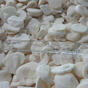 Frozen IQF Frozen Sliced Water Chestnut thumbnail-1
