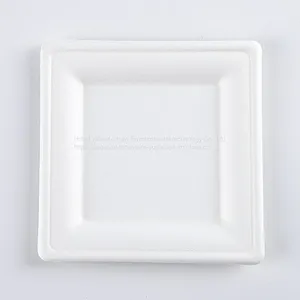 Disposable Biodegradable 10INCH Square Plate Take Away Sugarcane thumbnail-3