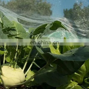 Factory Direct 55gsm 65gsm 70gsm Anti Insect Screen Hdpe Greenhouse Agricultural Protect Insect Proof Mesh Fine Net thumbnail-5