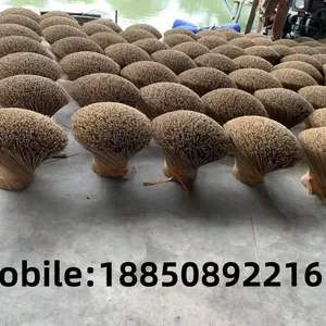 Longyan City Baiyang Factory Trading Co., LTD company overview - view 1 thumbnail