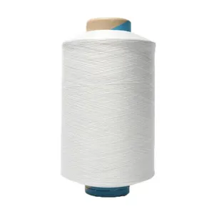 40D 70D SD Bright Nylon 66 High Tenacity Filament PA 66 Fdy Yarn Fpr Industrial Fabric thumbnail-1