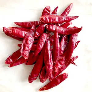 Chili Pepper thumbnail-5