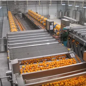 Pumpkin Juice Production Line thumbnail-6