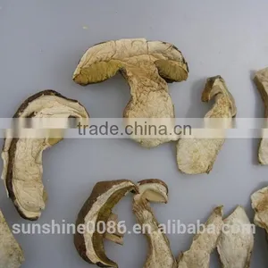 Organic Dried Porcini Boletus Mushroom thumbnail-5