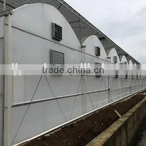 Professional Manufacturer Galvanized Steel Frame Greenhouse thumbnail-2