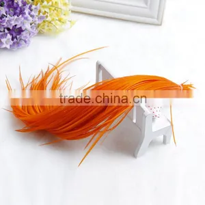 2016 Best Price Rooster Feather High Quality Beautifull Feathers Fashion Colorfull Feather Hair Extension thumbnail-2