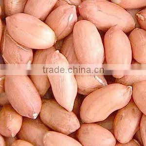 Groundnut 2014new Crop thumbnail-1