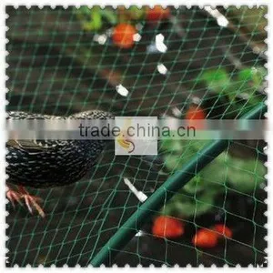 Plastic Anti Bird Mesh thumbnail-1