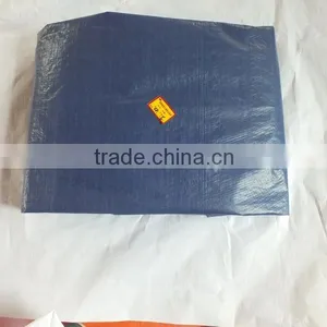 Custom Plastic Tarp Sliver/blue Plastic Sheet Triangle Plastic Rope 20 FCL Container Waterproof Factory Directly Hot Sell thumbnail-1