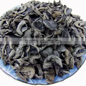 Chinese Northeast Black Fungus Mushrooms thumbnail-6