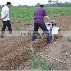 Equipment From China for the Small Business Riding Mower Vegetable Bed Formers Quality Choice thumbnail-1